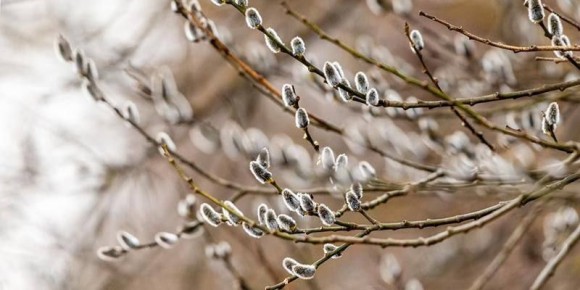 � ��������� ��� � ������� ��������� ����������