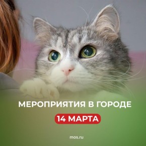 ��� ������ ������� � ������, ������� � ����� ���������