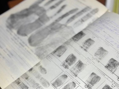 ��������� ����������� �������� ������������, ����������� � 1993 ����