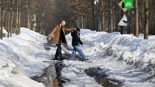 ���� � ������ ��������� ������� ������ �� ��� ������������, 12 ������, �������� �� ������ ������, �������� ���������