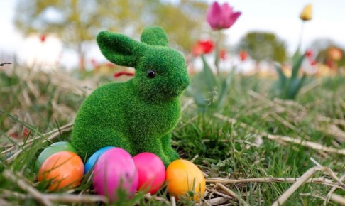 ������������ ��������� �� ���������� � ����������� ����������� ������� � ������� � �����