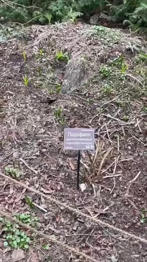 ������ ��������� ������� � ����������� ��������