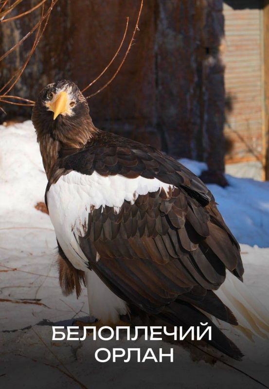 � ������������� ���� ���� �������� ��������� ����������� ����������� ��������