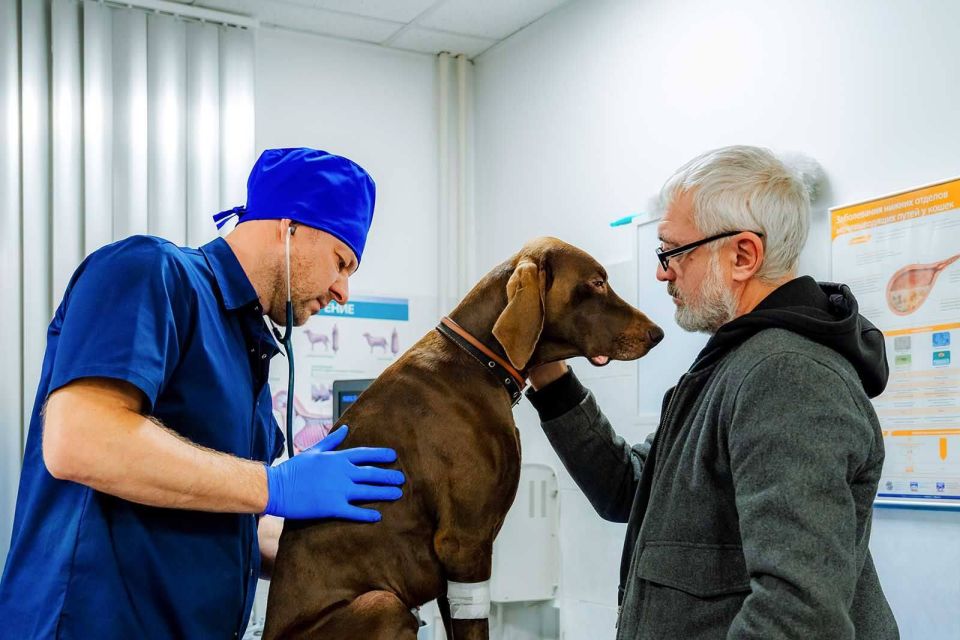 ����� � ����� ����� ��� ���������� �������� �������� �� ���������