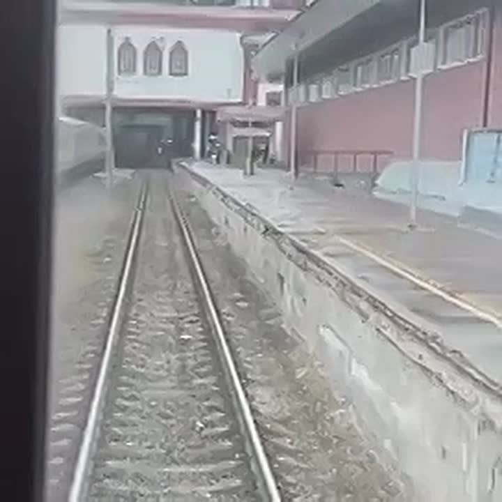 � ������, ������ �������� ����� � ������� � ����������� �������, ����� ������ �����