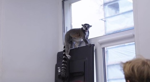 ��������� ������ ���� ������ �� ����� ���������� � ������ � ��������