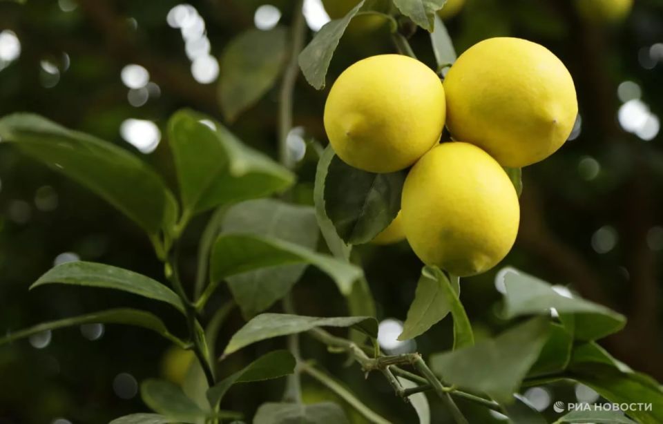 ������ � ������� ����� ��� ����� � ������� ��������� ��������� ������� ������� �� ������ - �� $18,6 ���, ���������� ��� ������� �� ������ �������� ����������