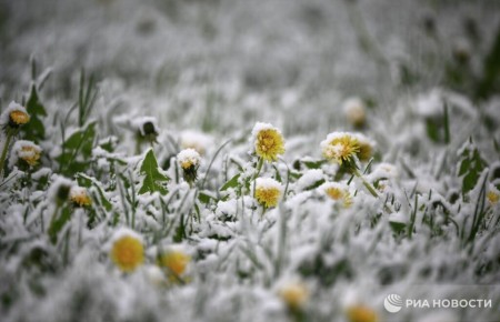 ������ ��������� �������� � ������ � ����� ����� ������, ������� � ������� ������ ������ ��������� �����, ����������� ����� �� 3-4 ������� ���� ������������� �����