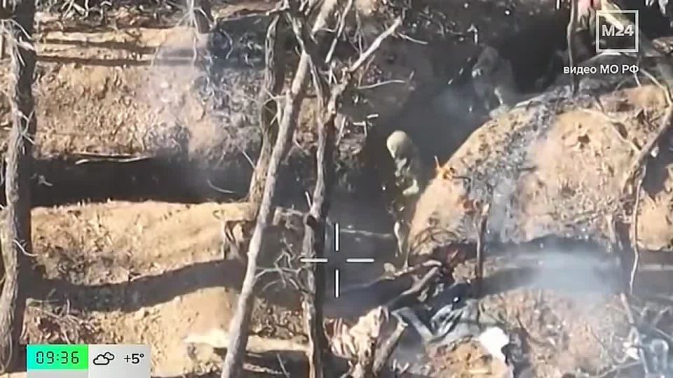 ������ �������: �� ���������� ������� 24� ���������� � �������� �� ���