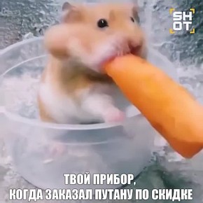 ���������� ����������� ���� �� �������� ������� ����� �������