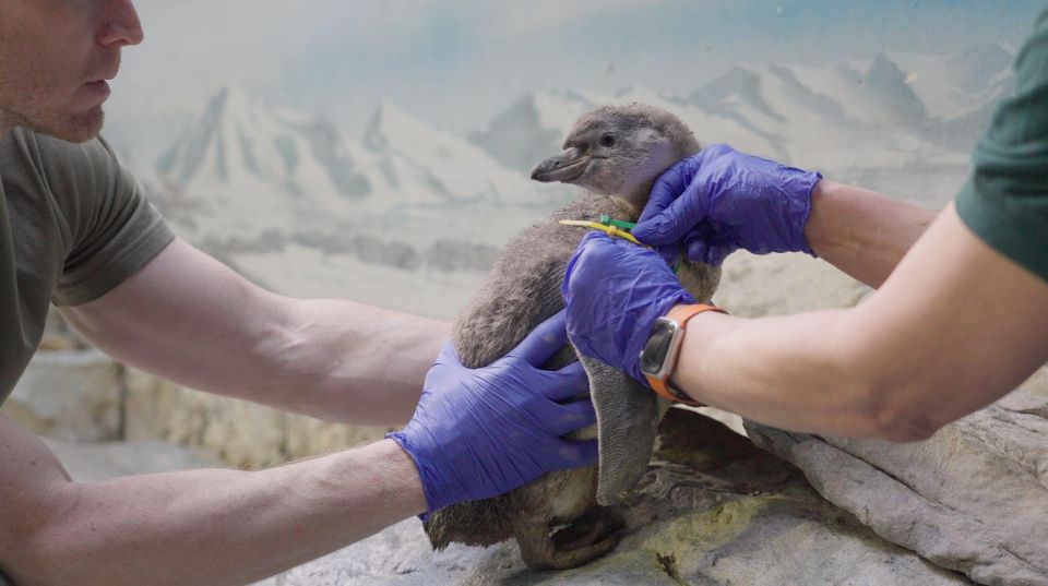 ����� ������� ��������� ���������� ����� ������� � ���������� ��������