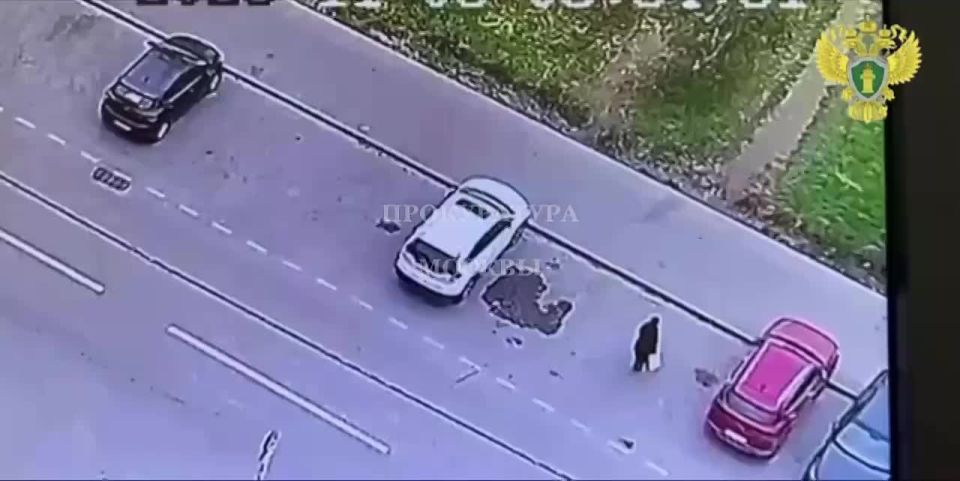 ����������� ����������� ����������� ��������� ������������� ��� � ��������� 29-������� �������