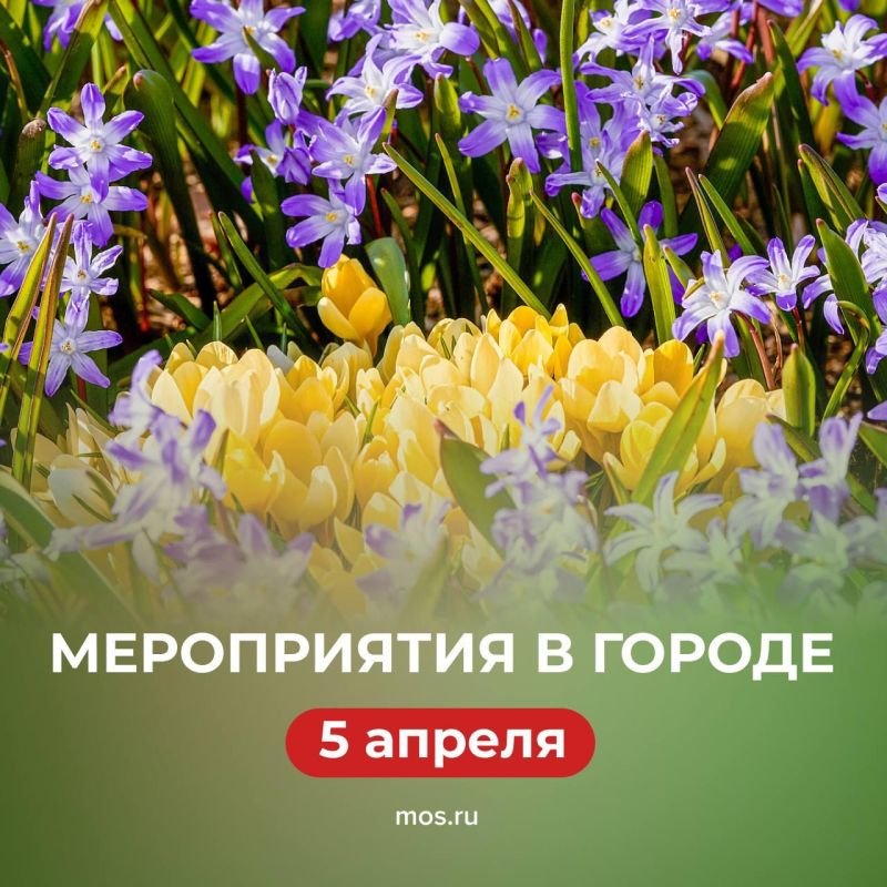 � ��� ����������� ��� ���� �������� � ���������� �����