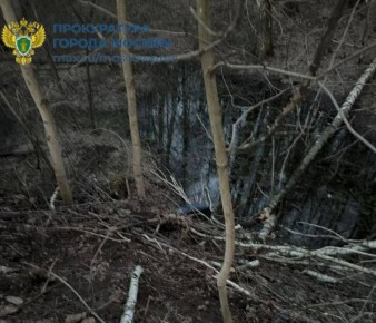 ������� � ���������� ������ ������� ����� � ������� ������ ������������� ����� � ������