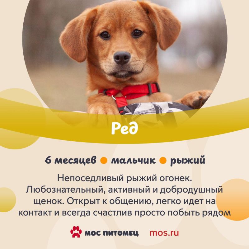 ����� ����������� �������� ���� ��� � ������� ������������