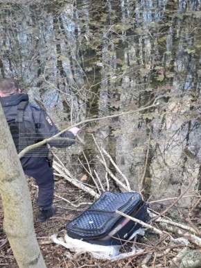 ������������� � ������� ���� ������� ����� �� ������ ������