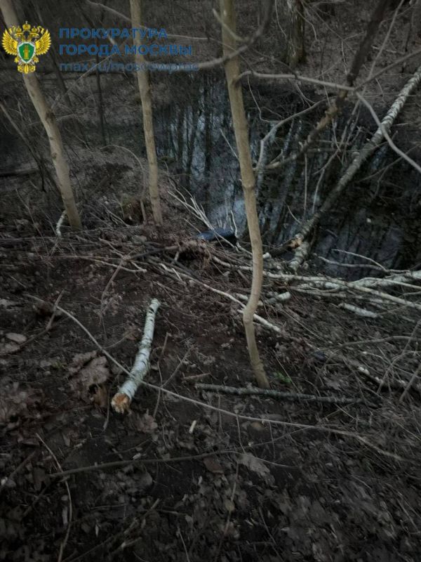 4 ������ �.�. � ������� �������� �� ������������� �. � �������� ���������� ���� ������� � ���������� �������������� ������ � ���� ������������� ������-������� �������