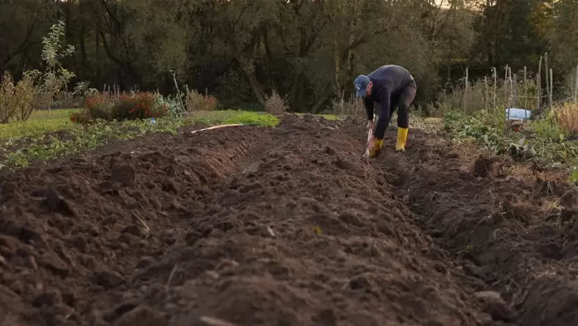 Как осенние удобрения могут создать плодородную почву без химии