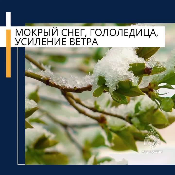 ��������� �������� � ����� �������