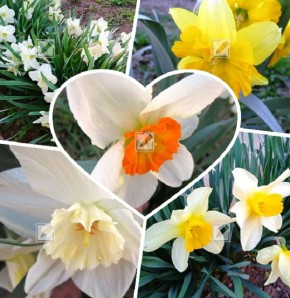 ������� ���������: ��� �������� �� �������� � ��������� ������� �� ������ ������