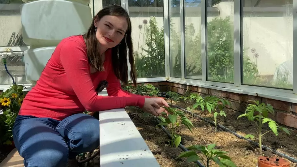 Как правильно использовать теплицу: советы для садоводов