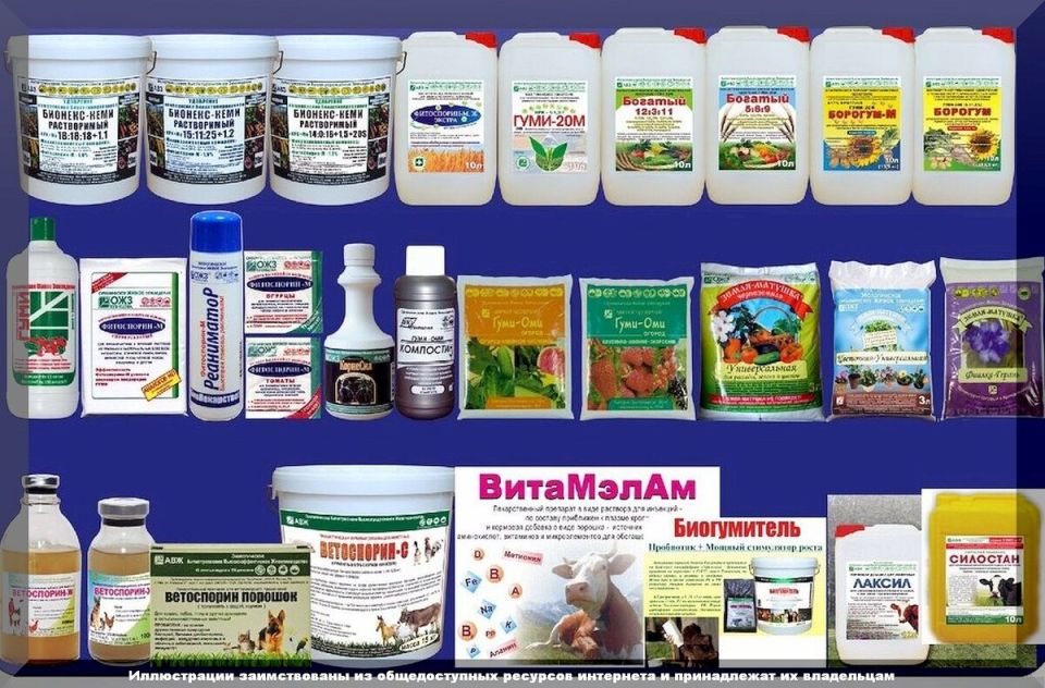 ��� �������� ����� ������������ ������������ ��� ������������ ����� �� ����������