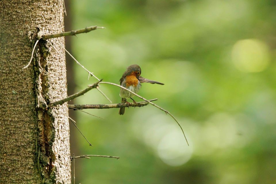 ���������� ����� ������������ �� ������� ���������� ������