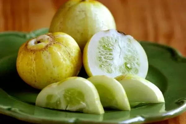 Хрустальное яблоко: экзотический огурец, который покоряет огороды