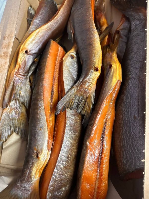 �������� ��������: �������� ��� ���� ������ ������� ��������� ��������