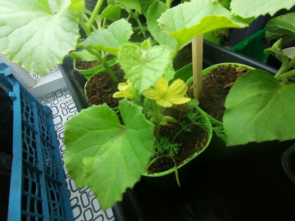 ����� � ���������: ��� �������� ������ �������� ������ � �������� ��������� ������