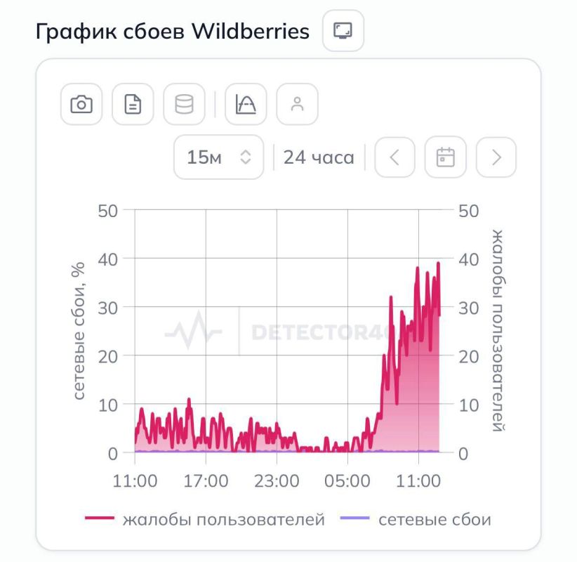Wildberries �����. ���������� �� ����� ������� ������, ������� ���������� � ����� � ������ �������