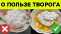 Творог: секреты здоровья и правильное употребление