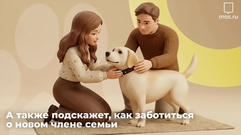 ������: �� �������� ����� �������� �� ������