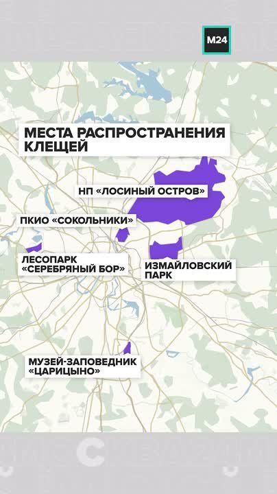 � ���������� ������� ���������� �����