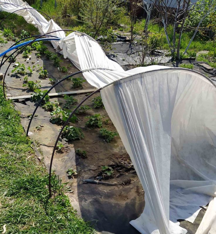 ��� ��������� �������� ������ ����: ������� ������� ������