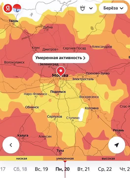 ���� ������������ ���������� ������ �� ������ �� 2-3 ������ � ������ ������� �����, ����� ��� �������