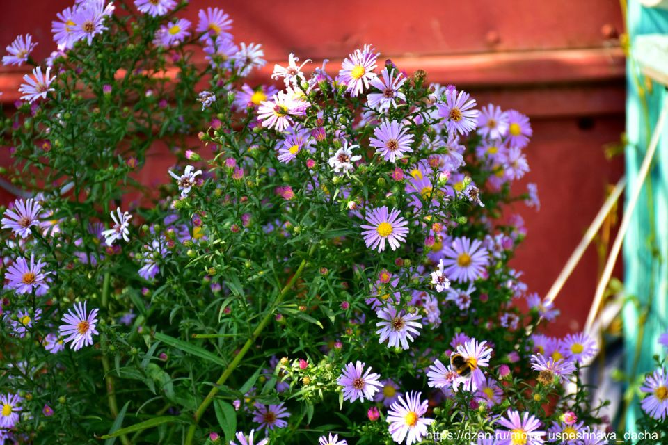 ��� ��������� ��������� �� ������������ ������ ��� ������ �������� � ��������� ����