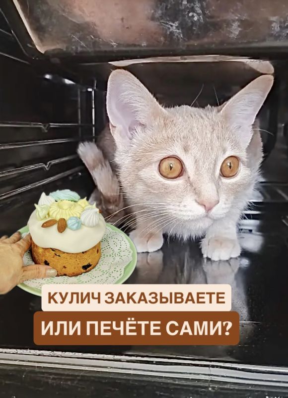 �� �������� ����: ������ � �������� � ��������� ��� ��� � �������