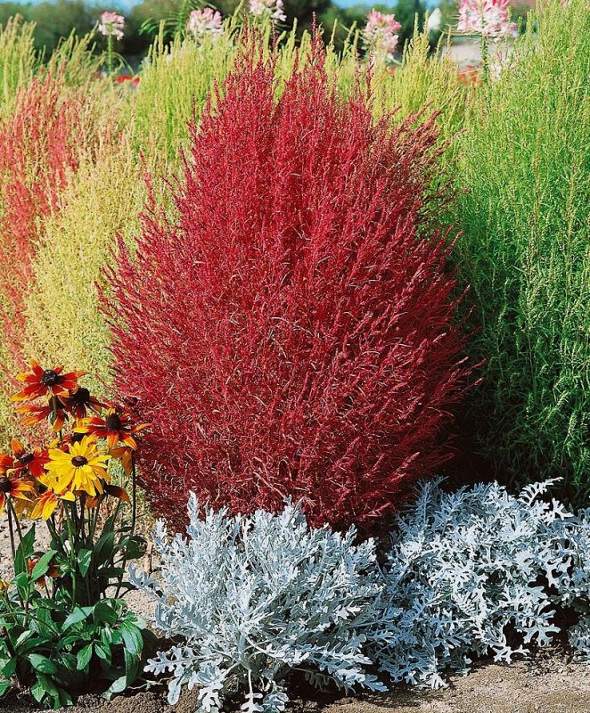 �����: ��������� ������������ ������� �������� � ����� ����