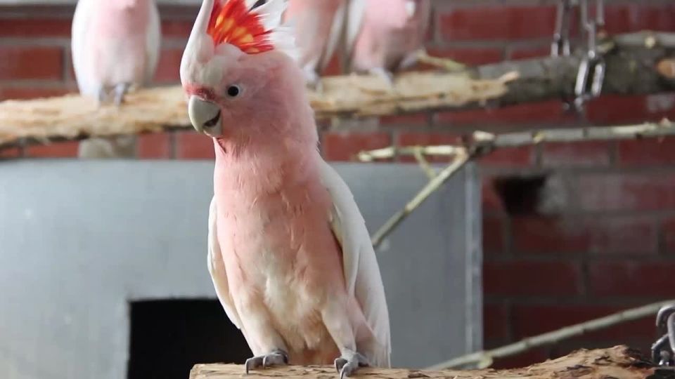 ������ ������������� ������� ������ ���� � ����� ��������� �������� ��������� �� ���������� ������ ��������������� ����������� ��������, �������� �����-������ ��������