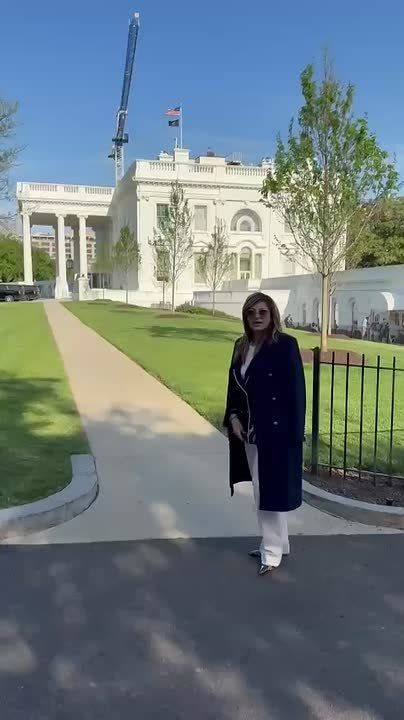 � � ��������: ���� �����������?� � �� �������: �������������