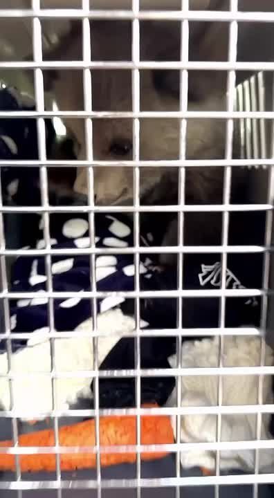 ����������� ���������� ������ �������� � ������