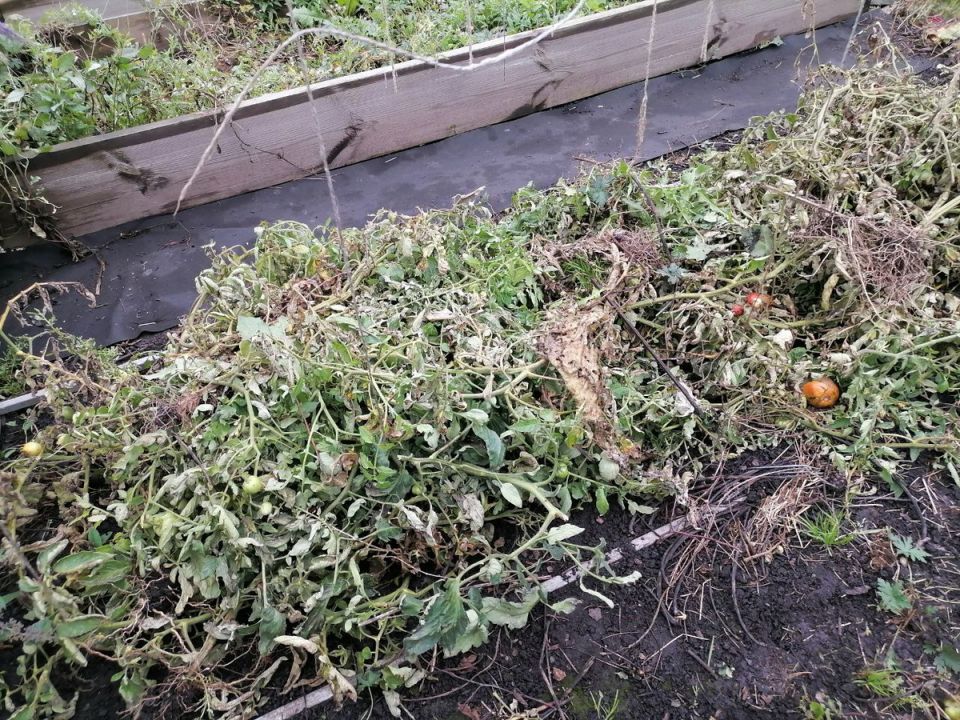 ��� � ���� ������������� �����: �������� ������ ��� �����������