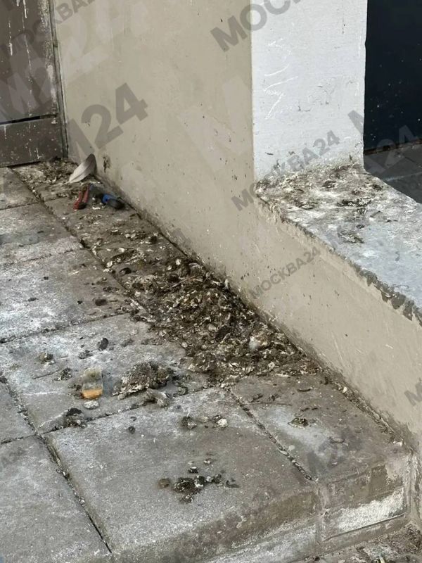 � ����������� ������� ���������� ���� � ����������