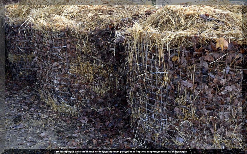 ������� ������: ��� ����������� ���� ������� � ��������� �����