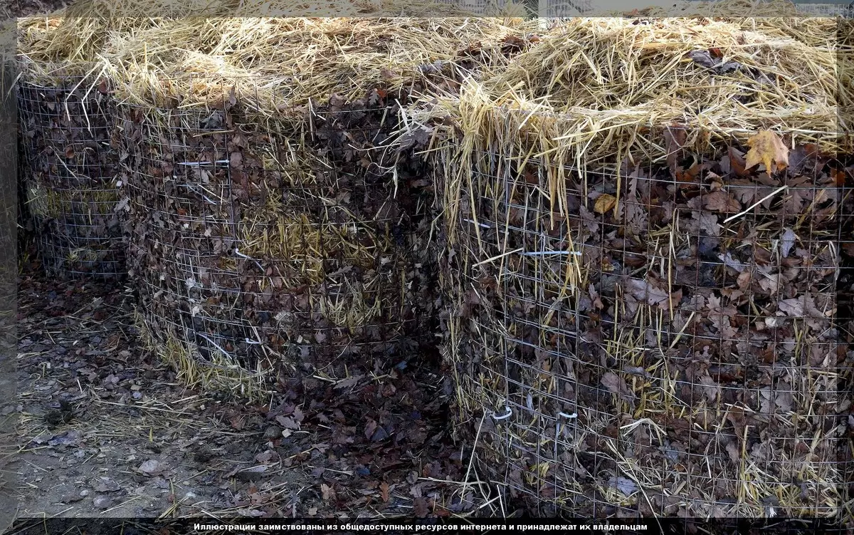 Опавшие листья: как преобразить свой участок и обогатить почву