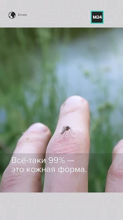 ���������� ������ ����� ������������� ������-��������� � ��������: ���� ��������� �������������� �����