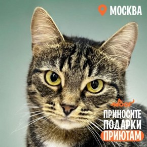 �� ������� �� WOOF FEST, � ����� ����� ����, ���� �� ��� ����������