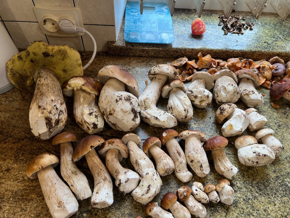 ������� ��� ����� �������: �����, ������ � ����������� ������� �� ������