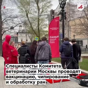 ������ ����� ���: � ������ ��������� ������ ����������� � ������������ ����